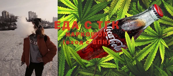 сатива Инта