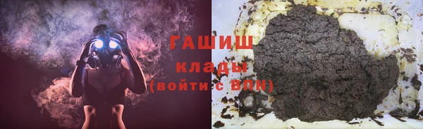 шишки Инсар