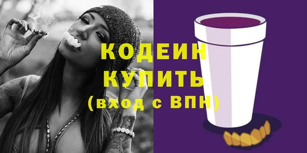 шишки Инсар