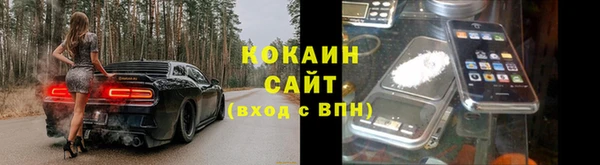 шишки Инсар