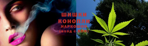 сатива Инта