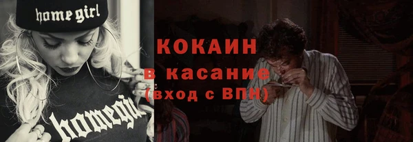 сатива Инта