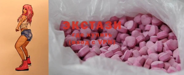 шишки Инсар