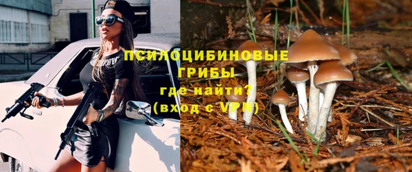 сатива Инта