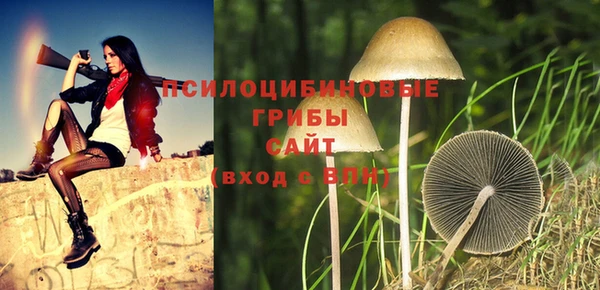 шишки Инсар