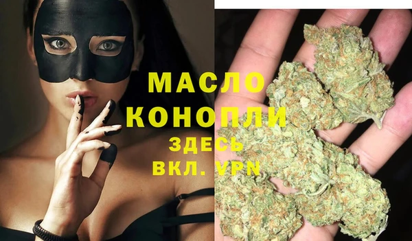 шишки Инсар