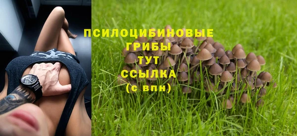 ALPHA PVP Иннополис
