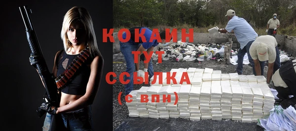 шишки Инсар