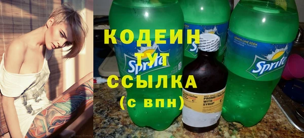 сатива Инта