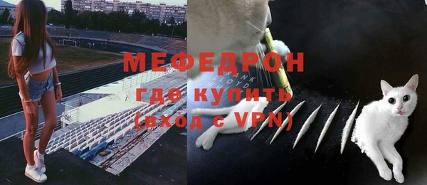 шишки Инсар