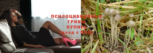шишки Инсар