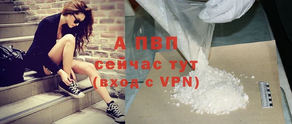 сатива Инта