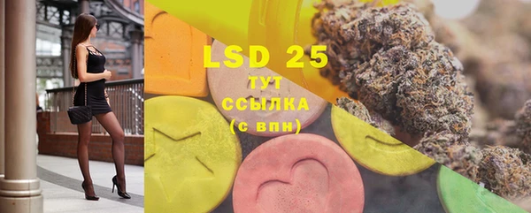 шишки Инсар
