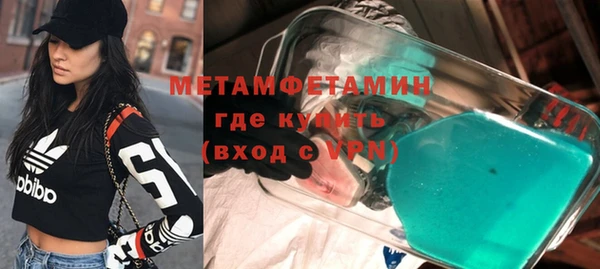 шишки Инсар