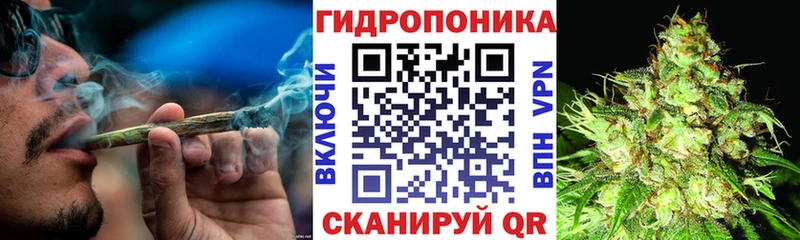 Купить Конаково Бошки Шишки VHQ